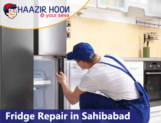 Fridge Repair in Noida Extension